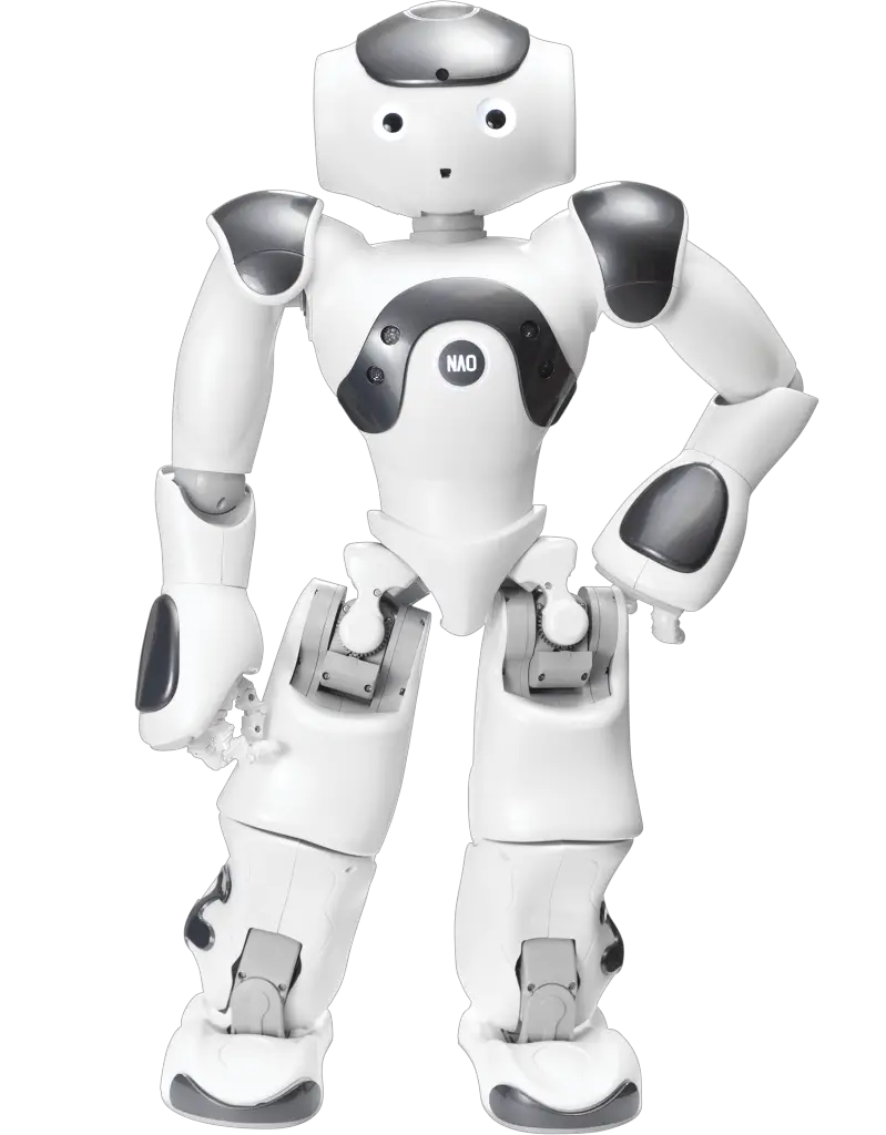  NAO Robot